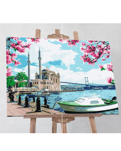 Картина за номерами 40х50 см "Яскравий Стамбул" Ідейка KHO2757